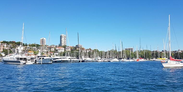 Rushcutters Bay