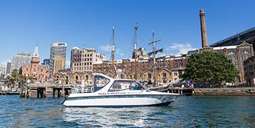 Water Taxi Fleet3